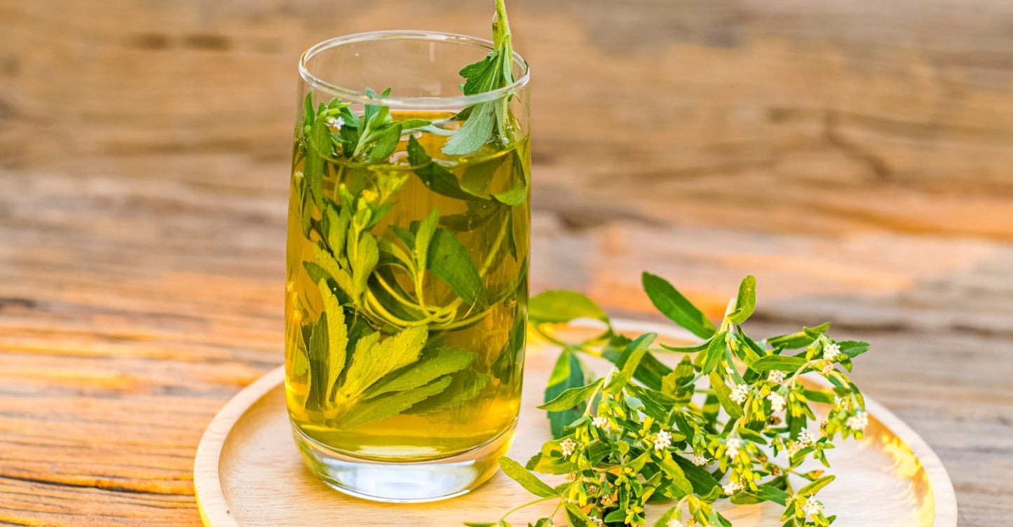 Stevia Leaves Tea