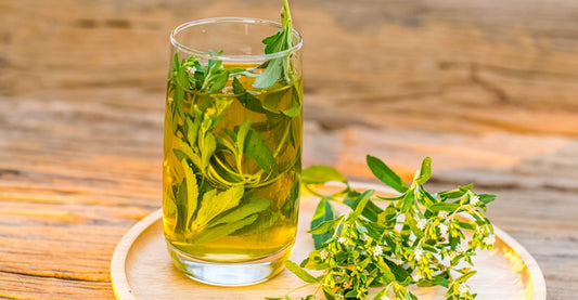 Stevia Leaves Tea